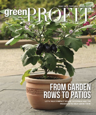 Building a Patio Vegetable Program