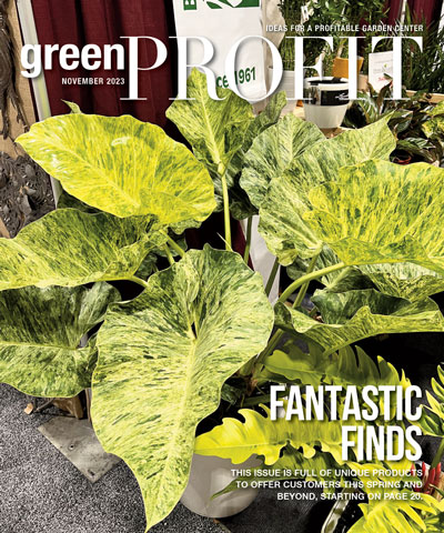 Hot Picks for Spring (and Beyond)