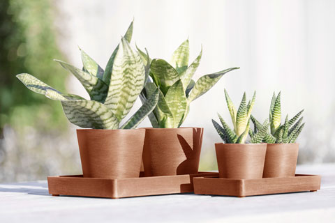 Great Houseplant Homes