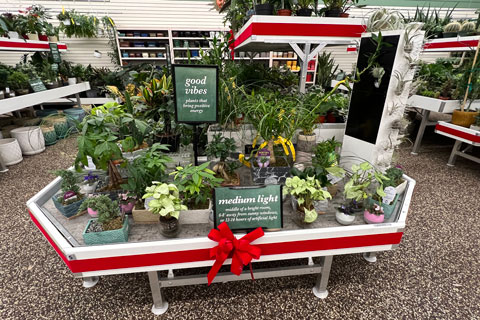 Marketing Plants to Engage the Conscientious Consumer