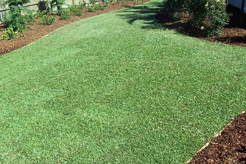 Lose the Lawn!