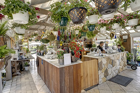 On the Road: A Garden Center That Feels Like Home