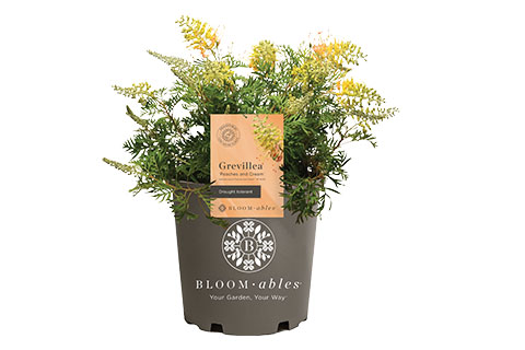 Turning Off the Spigot