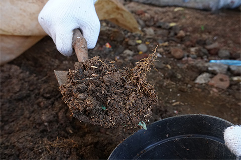 Consumers Are Ready to Garden