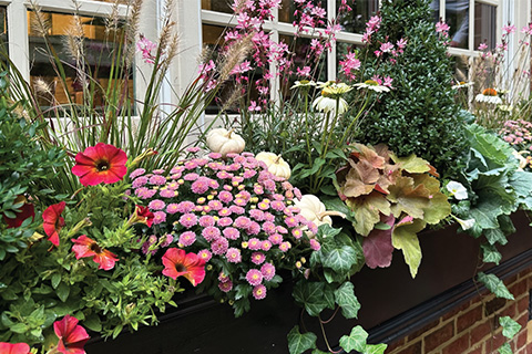 Revving Up Container Revenue