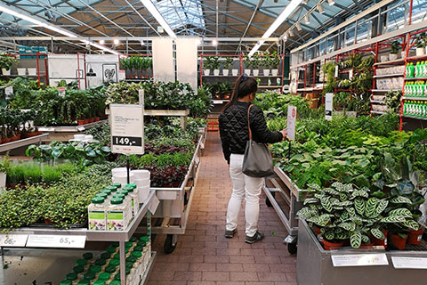 Global Garden Retail Lessons