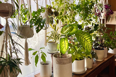 Being Intentional with Wellness