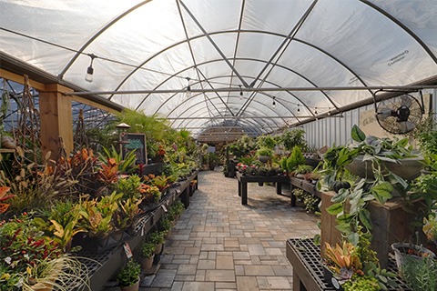 South Street Gardens’ Design-Forward Debut