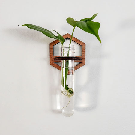 Hexagon Test Tube Planter