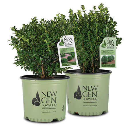 NewGen Independence and NewGen Freedom