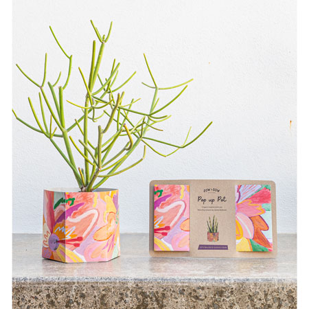 Pop Up Pots