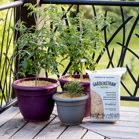 GardenStraw Mini