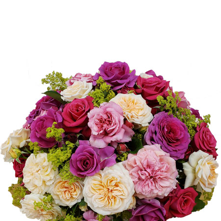 Flower Carpet Shrub Roses