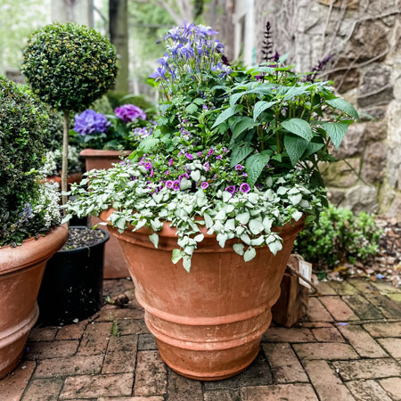 Nuovo Tuscan Planter