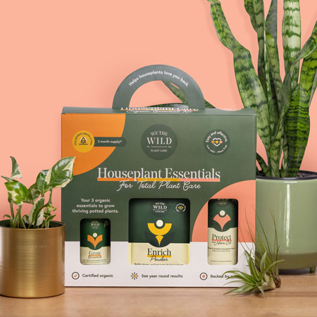 3-in-1 Plant Care Essentials Kit
