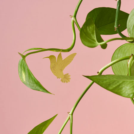 Plant Animals