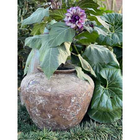 Parlor Jar