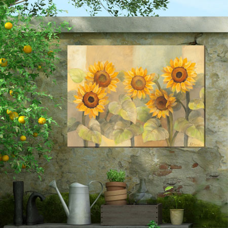 Sunshades Canvas