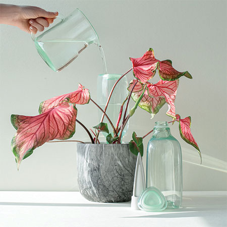 Self-Watering Kit