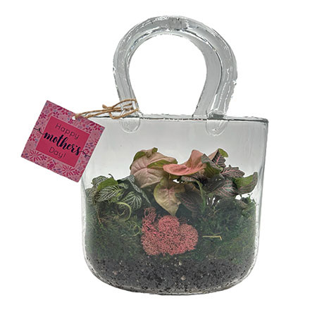 Glass Purse Terrarium