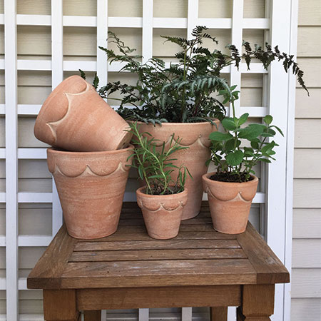 Botanical Collections LLC