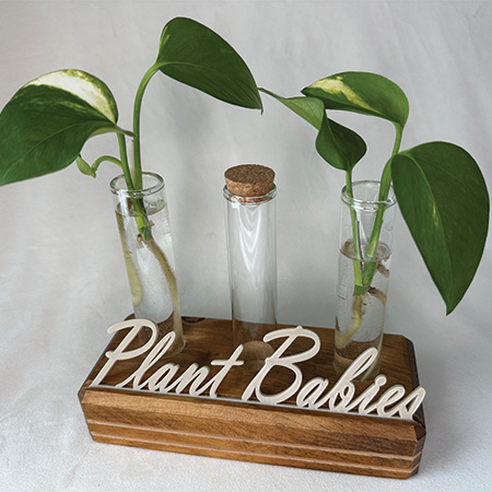 Plant Babies Propagation Station