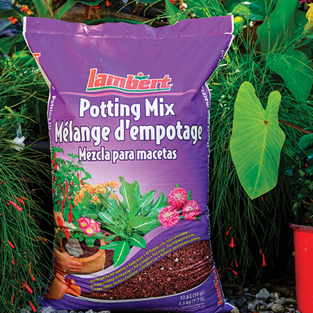 Potting Mix