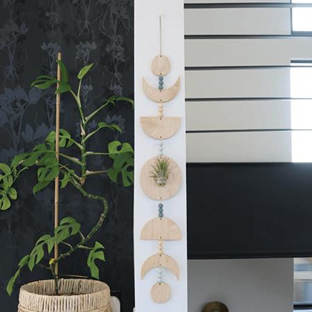 Moon Phase Airplant Holders