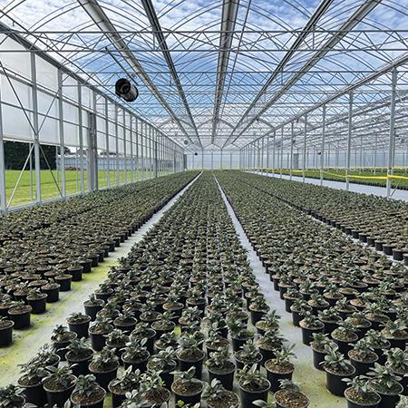 Rovero Roll-Air Greenhouse