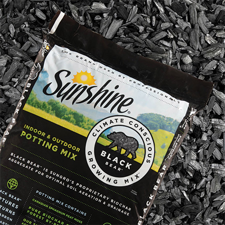 Black Bear Indoor & Outdoor Potting Mix