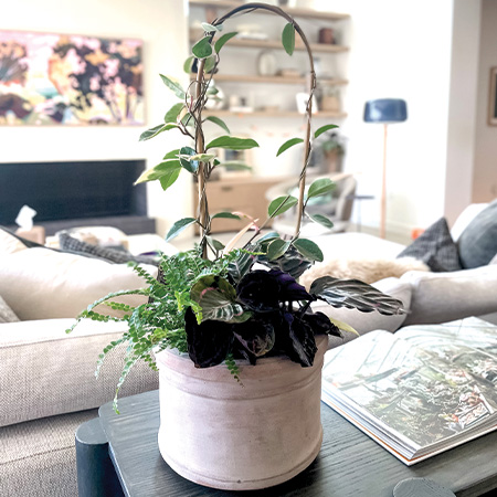 Vietnamese Unglazed Cyrena Planter