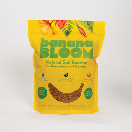 Banana Bloom