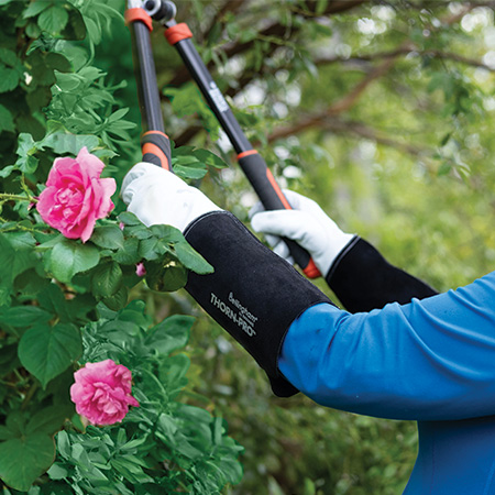 Bellingham Thorn-Pro C7365