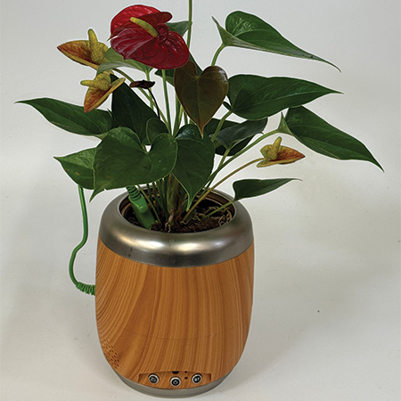 Plant Petz 4-in. plant pot