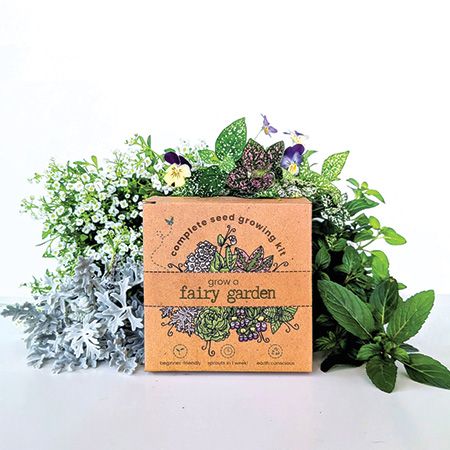 Grow a Fairy Garden Seed Kit