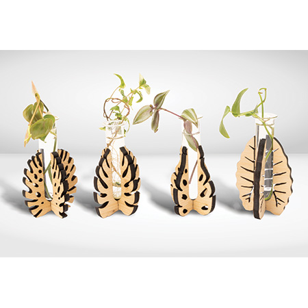 Tabletop Propagation Design Vases
