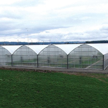 Super Grow Arch Commercial Series