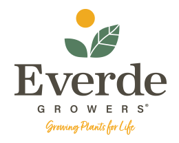Everde Growers