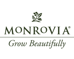 Monrovia