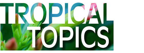 Tropical Topics